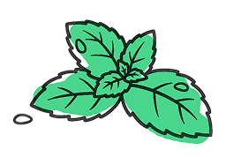 Leafs